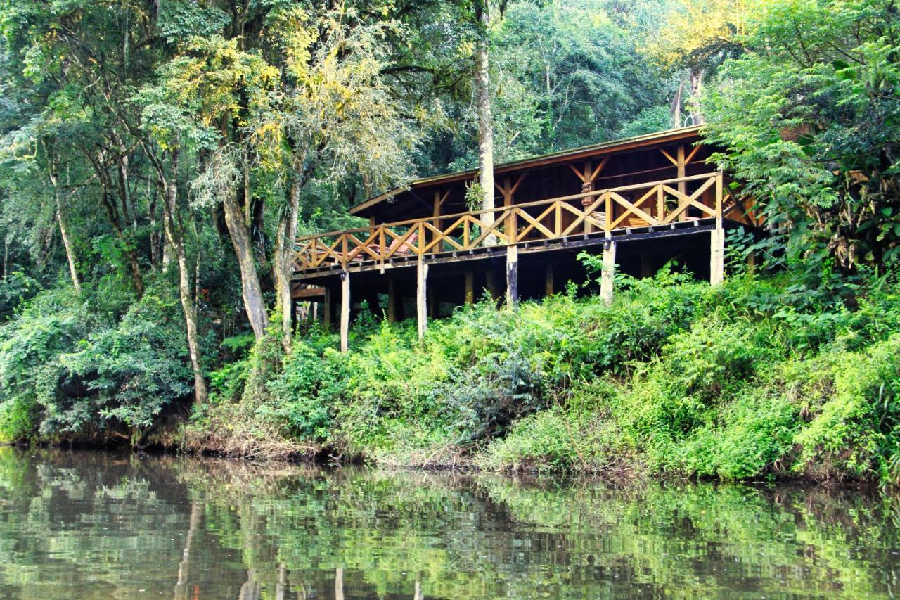 Margay - Reserva Natural Y Lodge De Selva El Soberbio Exteriér fotografie