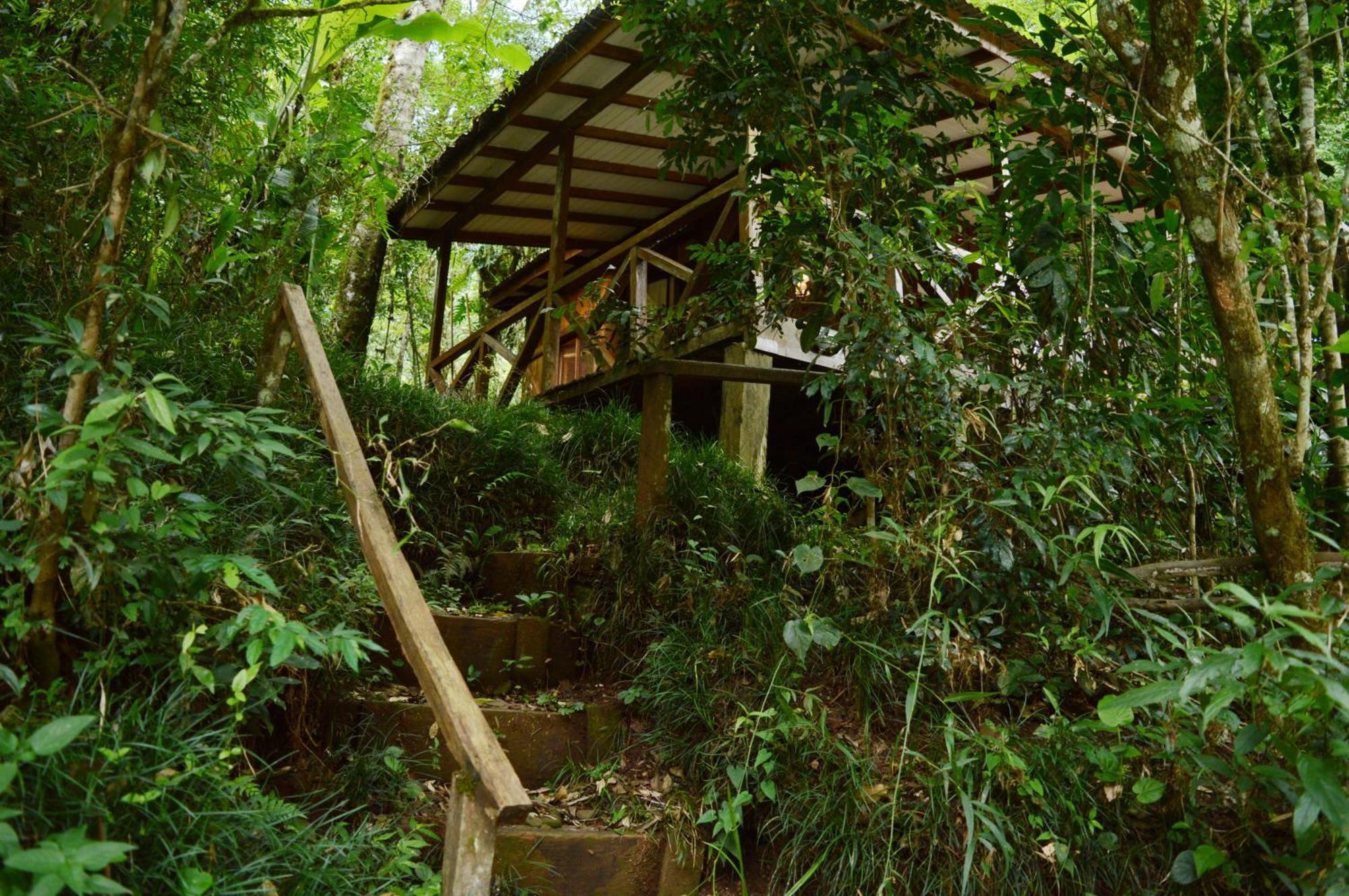 Margay - Reserva Natural Y Lodge De Selva El Soberbio Exteriér fotografie