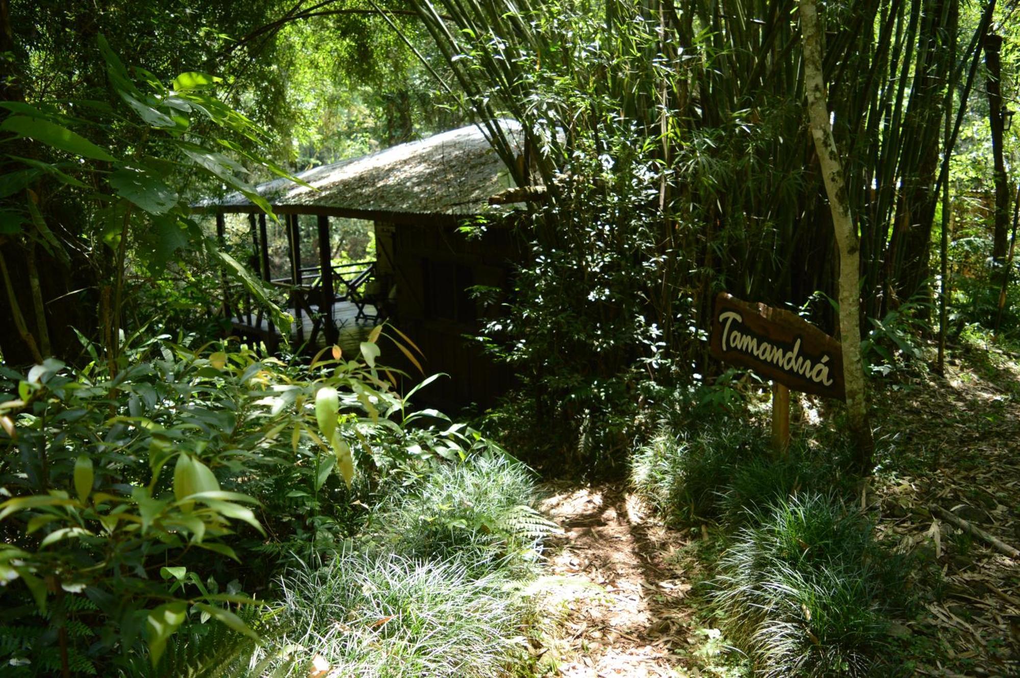Margay - Reserva Natural Y Lodge De Selva El Soberbio Exteriér fotografie